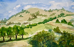 Rolling Hills of California