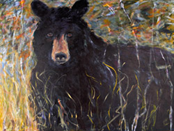 Bear Jim in the Meadow